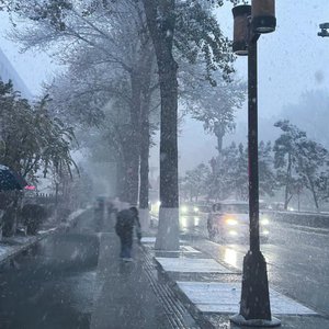 第一次见红小视频真实
