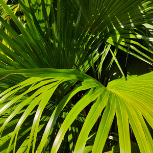 第一次见红小视频真实
